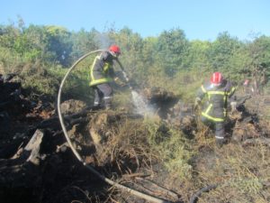 Feu d’aire naturelle à La Dominelais le 18 juin 2017