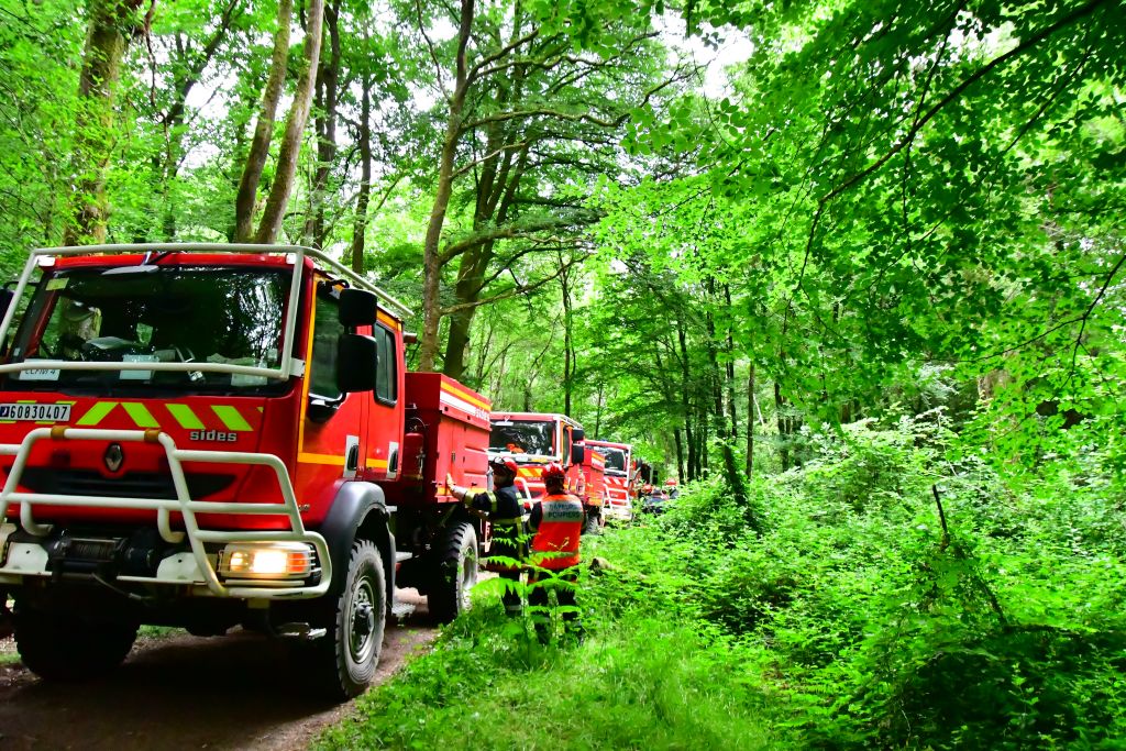 Manoeuvre FDF-06-03-2025_1330-Forêt de Paimpont