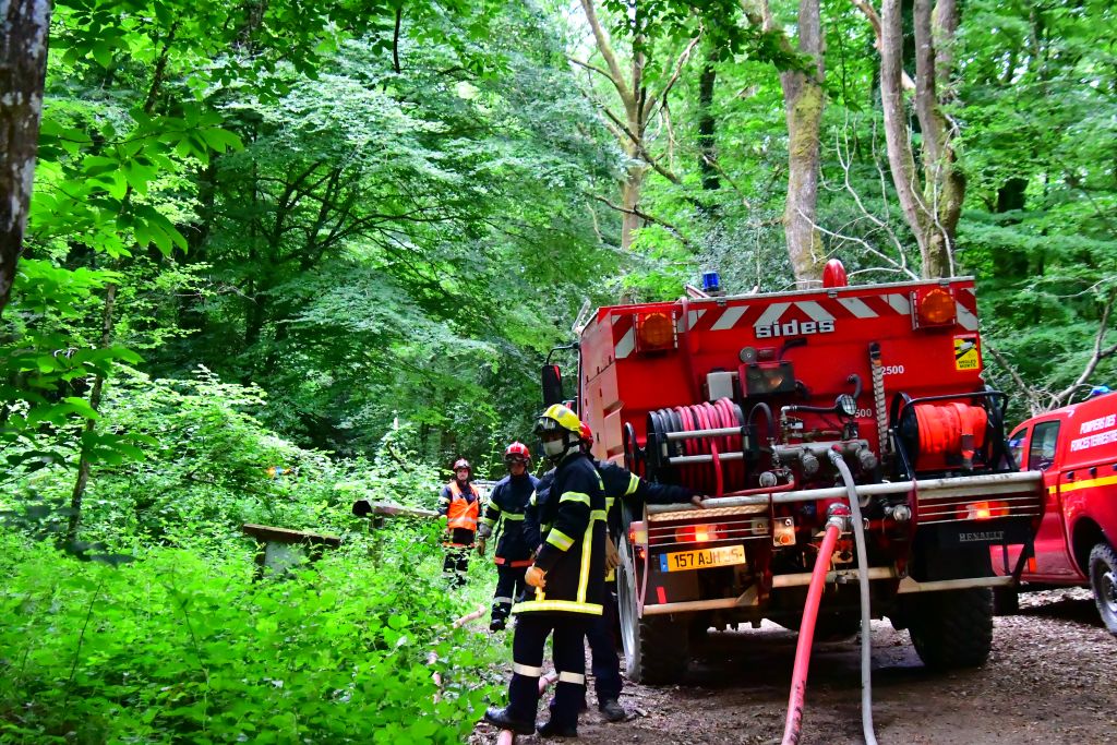 Manoeuvre FDF-06-03-2025_1346-Forêt de Paimpont